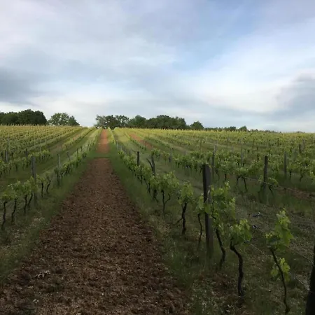 ヴィラ Riverside Charm In Perigord Noir *