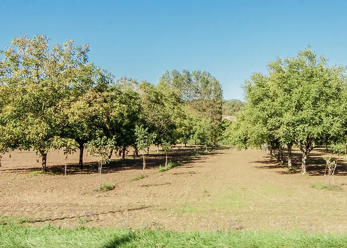 Riverside Charm In Perigord Noir Villa