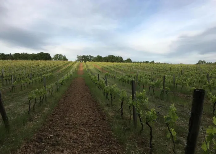 Villa Riverside Charm In Perigord Noir *